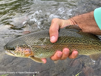 404 Stagecoach Ln, Carbondale, CO 81623