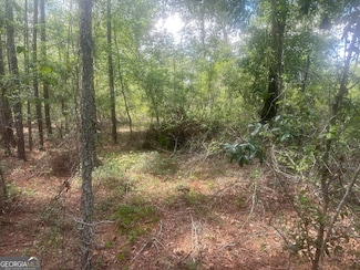 0 Robert Chapel Cemetery Rd Unit 10519584, Glenville, GA 30427