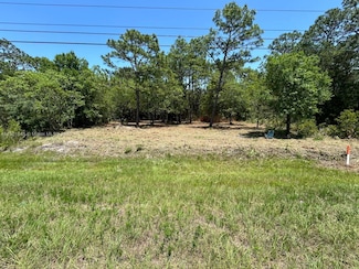11287 S Suncoast Blvd, Homosassa, FL