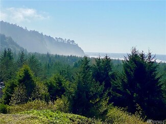 2815 Willows Rd Unit 335, Seaview, WA 98644