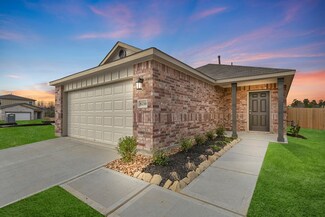 21631 Rustic River Ranch, Waller, TX 77484
