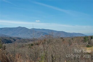 99999 McCoy Cove Rd Unit 1, Black Mountain, NC 28711