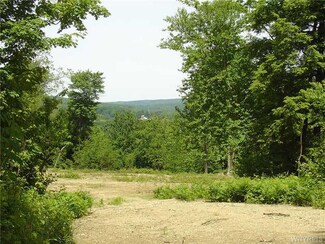 0 Brainard Rd Unit B503009, Ellington, NY 14747