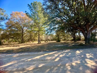 0 Rayford Shumock Rd Unit 4098869, Moss Point, MS 39562