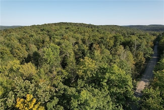 Lot 6 Lockwood Run Rd, Baldwin, NY 14859