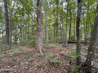 119 Huckleberry Dr, Jamestown, TN 38556