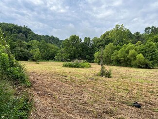 4993 Bogard Rd, Cosby, TN 37722