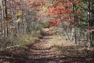 0 Deadend Trail, Garrison, KY 41141