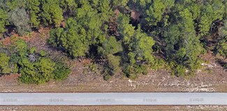 603 E 16th St, Lehigh Acres, FL 33972