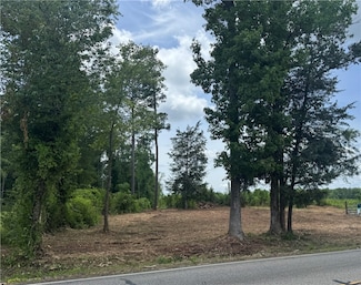 lot 58 Lee County Road 266, Cusseta, AL 36852