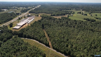 39 Acres County Road 1105, Vinemont, AL 35179