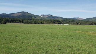 Parcel 12 Green Valley Rd, Fernwood, ID 83830