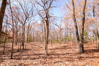 001 Highway Aa Unit South Tract, Stockton, MO 65785