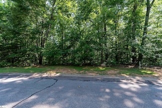 317 Laurel Valley Way, Travelers Rest, SC 29690