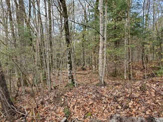 M34 L11B-1 Blue Spruce Rd, Wilton, ME 04294