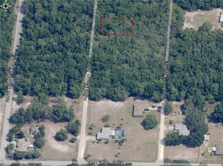 6573 N Canopy Terrace, Hernando, FL 34442