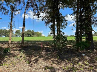 TBD LOT 3 County Road 409d, Henderson, TX 75654