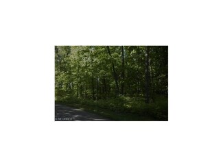 9650 Creawood Forest, Willoughby, OH 44094