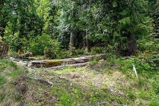 0 W Alder Dr, Sedro Woolley, WA 98284