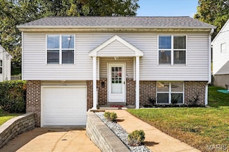 1333 Ripple St, Saint Louis, MO 63139