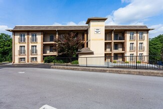 1004 Game Day Way Unit 2, Knoxville, TN 37902
