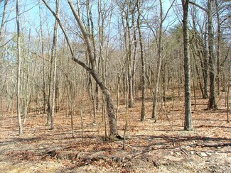 5 Forester Overlook Dr, Cloudland, GA 30731