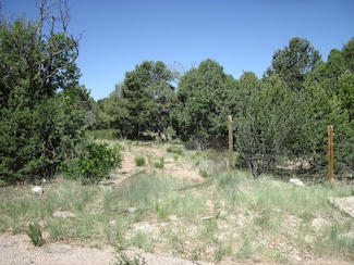 16 Roadrunner Rd, Mockingbird Hills, NM 87059