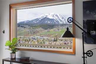 1221 Palmers Dr, Silverthorne, CO 80498