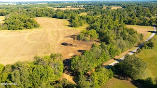 Tract 4 Hearn Rd, Greenfield, TN 38230