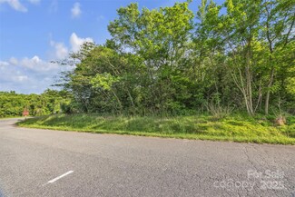 35 R E Johnson Ln, Hiddenite, NC 28636