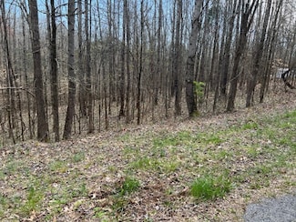 0 Crestview Dr Unit RTC2753463, Bumpus Mills, TN 37028