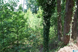 850 Sardis Rd Unit 1, Cragford, AL 36255