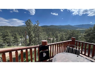 303 Virginia Rd Unit E, Bailey, CO 80421
