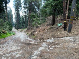 0 El Valle Rd Unit HD25068487, Cedarpines Park, CA 92322
