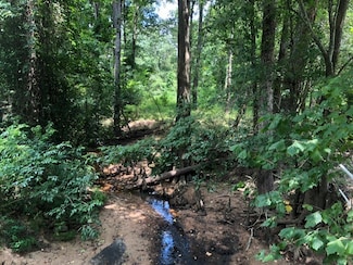 25094 Fm 1488 Rd, Magnolia, TX 77355