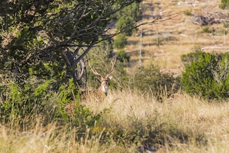 576 S View Rd, Rocksprings, TX 78880