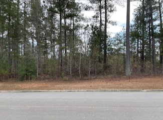 N-53 Eutaw Springs Trail, North Augusta, SC 29860