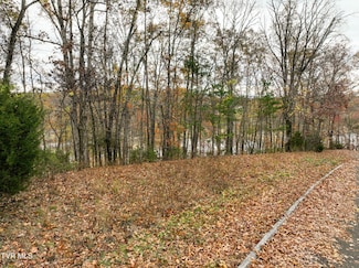 121 Pointe Dr, Piney Flats, TN 37686