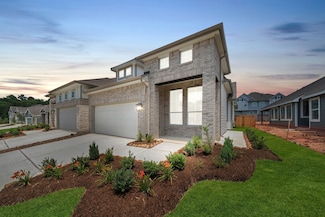 164 W Coralburst Loop, Montgomery, TX 77316