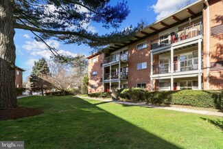 3417 University Blvd W Unit 202, Kensington, MD 20895