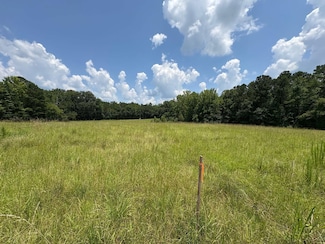 656 Highpoint Rd, Louisville, MS 39339