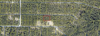 Lots 27-28 E Box Elder Dr, Defuniak Springs, FL 32433