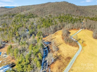 36/94 Ebenezer Trail Unit 1 and 3, Hendersonville, NC 28739