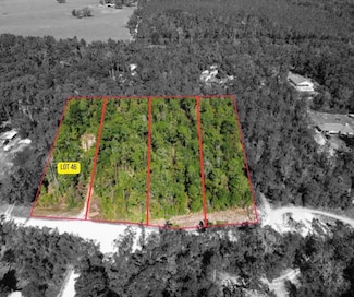 LOT 46 SW Kentucky St, Fort White, FL 32038