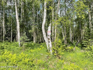 48484 S Grizzly Bear Cir, Willow, AK 99688