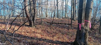 1782 Hemlock Ln, Lincoln Township, MI 48622