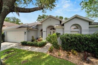 12854 Big Sur Dr, Tampa, FL 33625