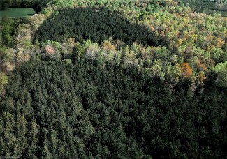 0 Old Nc Highway 13 Unit 1172458, Asheboro, NC 27205