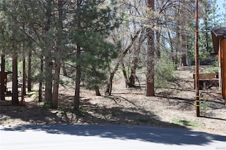 0 Avalon Rd, Big Bear Lake, CA 92315