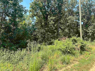 5 Old Liberty Rd, Morris Chapel, TN 38361
